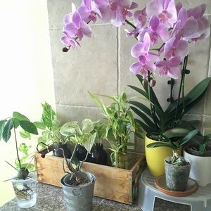 Meet your Posher, Sabrina